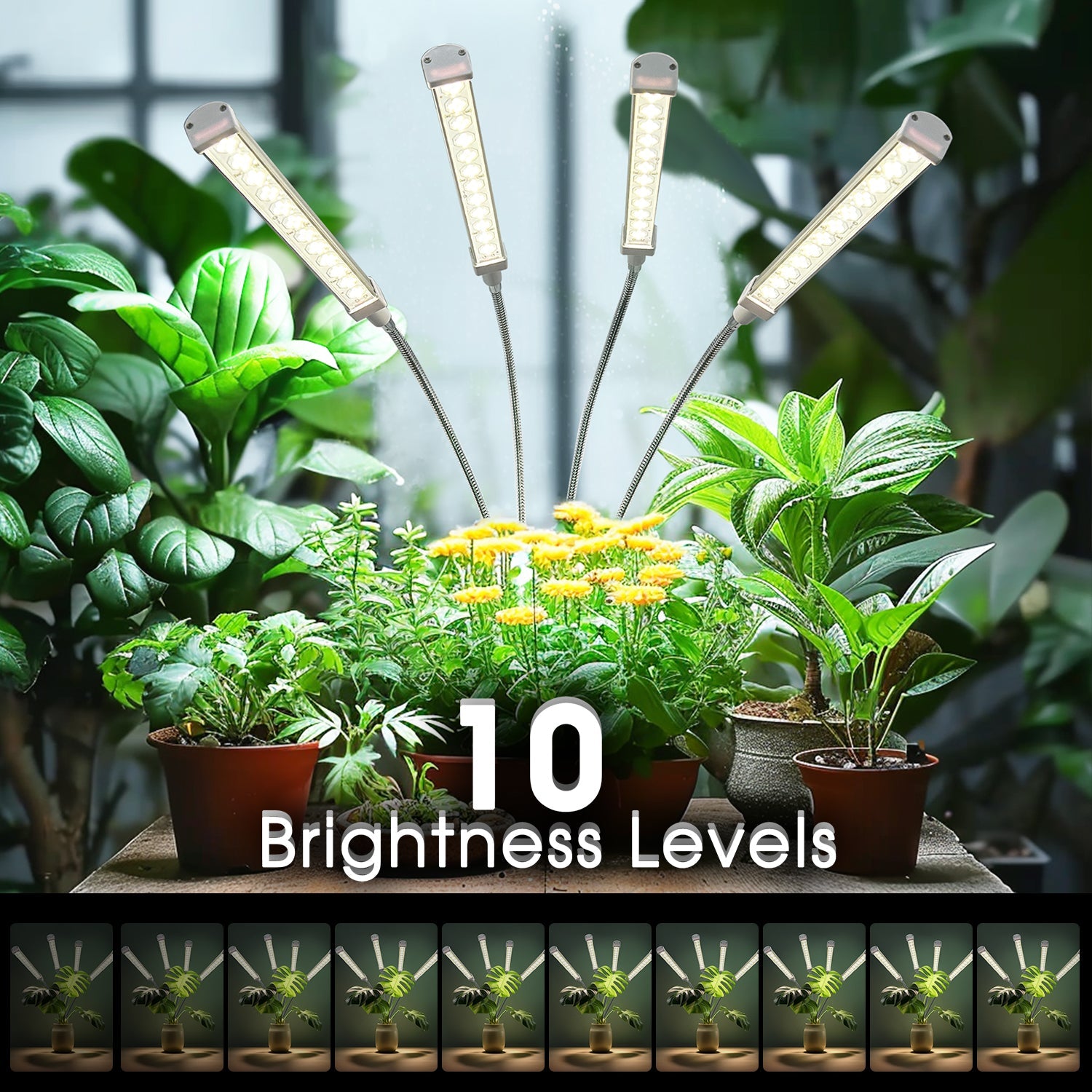 Jandcase 4-Head LED Grow Light with Clip, 192 LEDs, 10-Level Dimmable, 24H Timer, Full Spectrum 3500K, Indoor Plant Light, US Plug